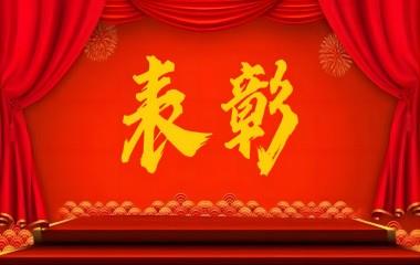 “兩優(yōu)一先”風(fēng)采|遠(yuǎn)東電纜（宜賓）載譽歸來