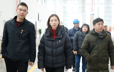 宜賓市工商聯(lián)調研遠東股份宜賓智能產業(yè)園