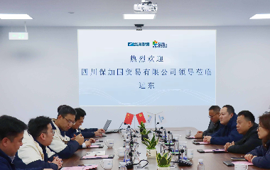 跨界聚力?智啟新程|瀘州老窖集團一行赴遠東股份宜賓智能產業(yè)園共探合作新機